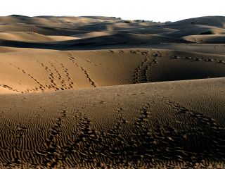 Thumb de verlichte Indiase woestijn kunst
